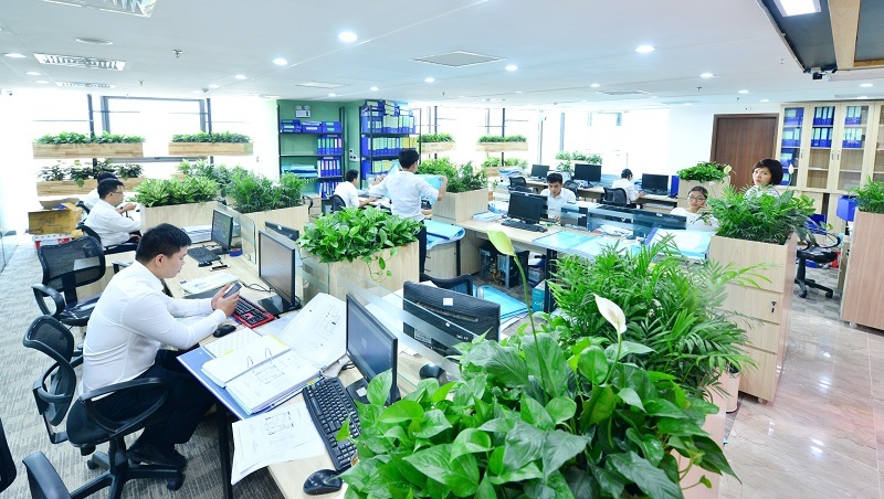 cây xanh cho văn phòng